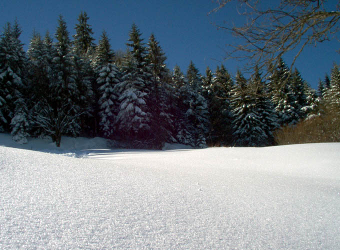 znów zima