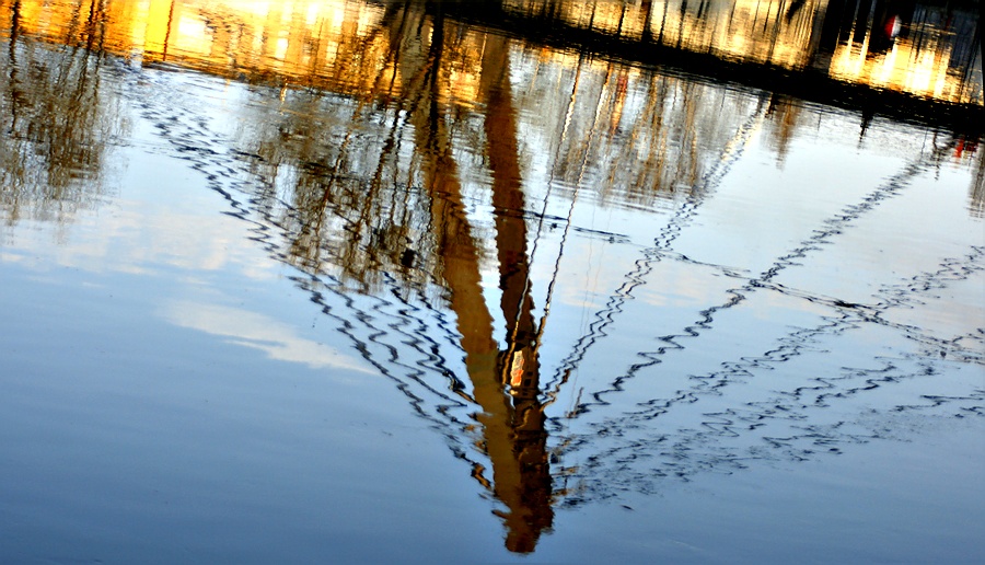 wiesiek
