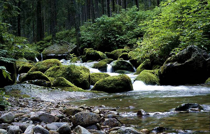 Tatry