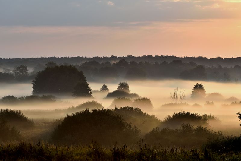 Gdzieś nad Wieprzem.