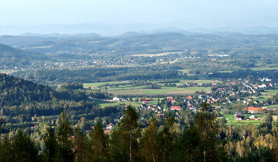 wiesiek