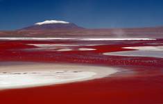 Laguna Colorada