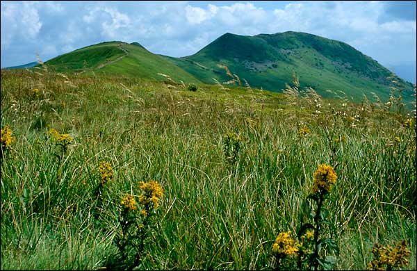 Bieszczady