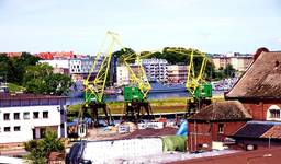 Dźwigozaury Szczecin