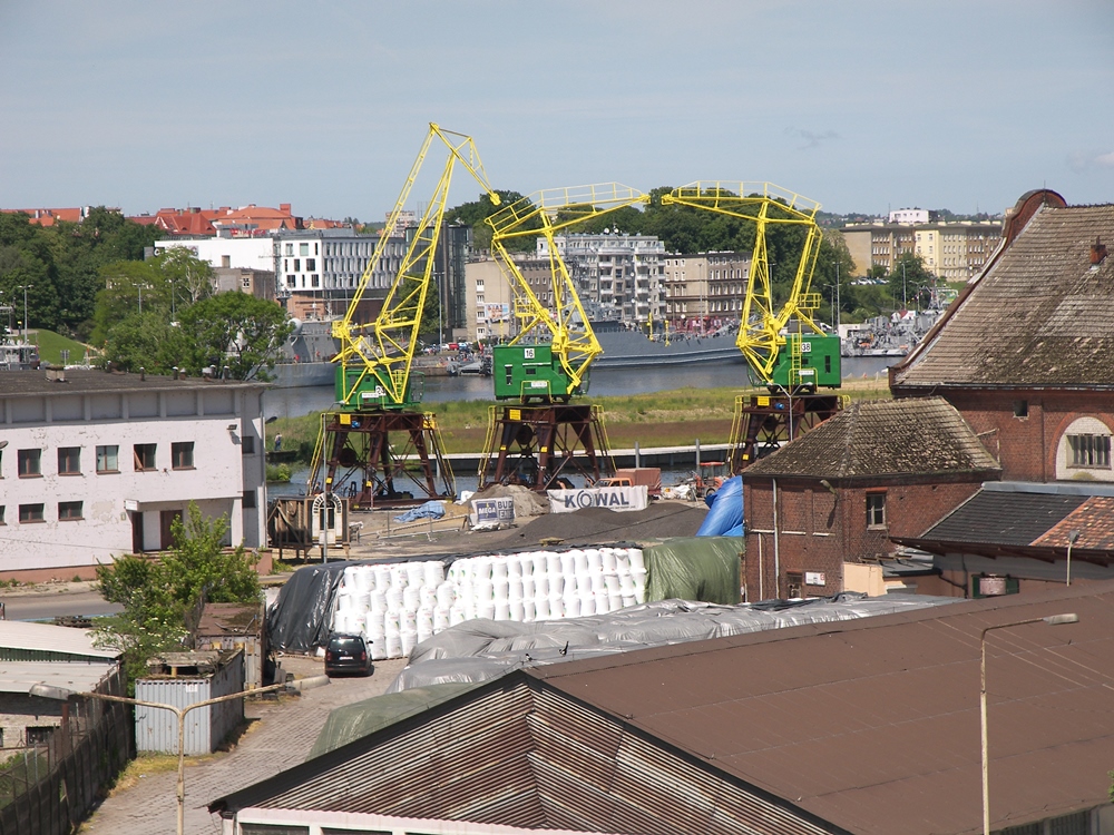 Dźwigozaury Szczecin