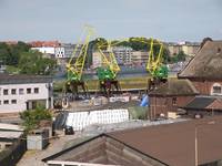 Dźwigozaury Szczecin
