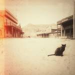 Wild West Cat