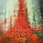 Weeping window