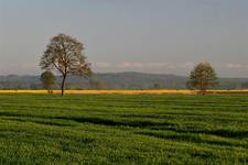 Nad Mątawą.