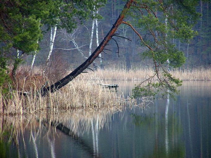 Nad Niemką