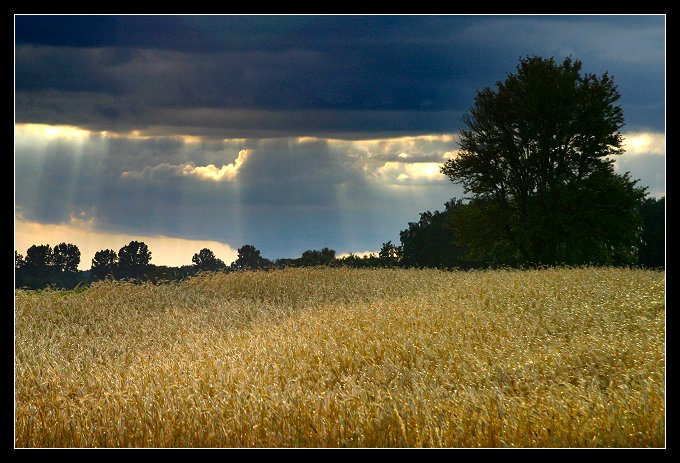 ...wiatr umiarkowany, możliwe przelotne opady.