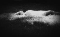 the virgin suicides: cecile lisbon (bw)