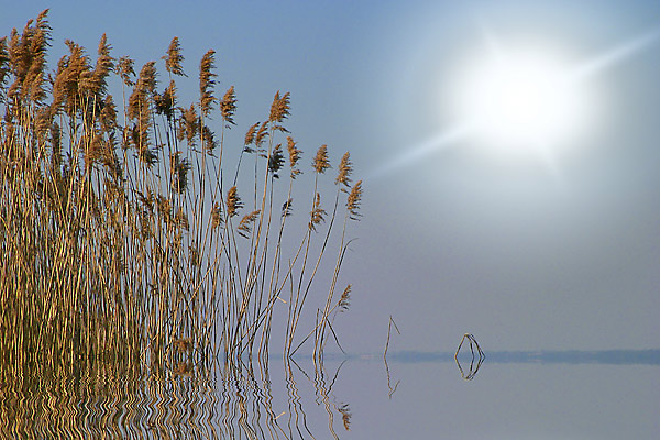 Zimowe słoneczko