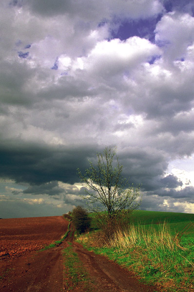 przed burzą