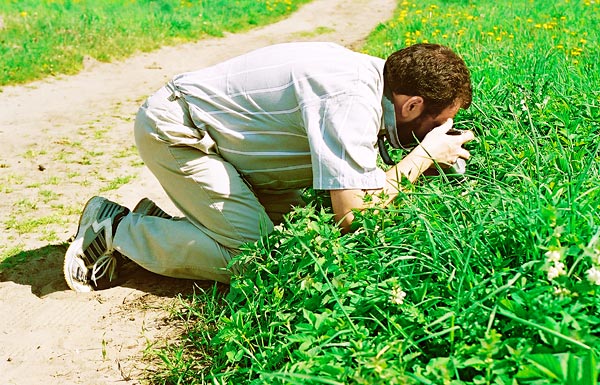 Fotograf makro