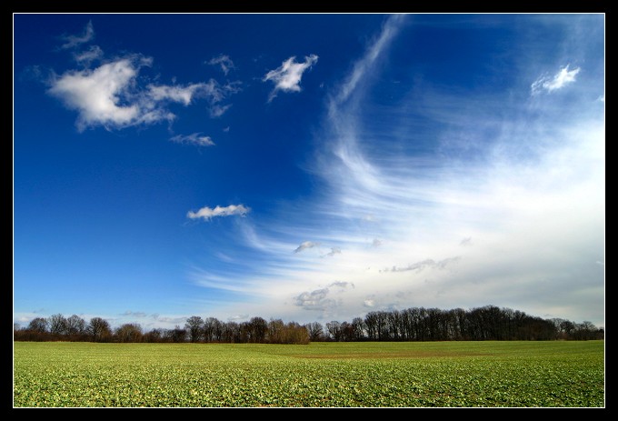 Twister..........