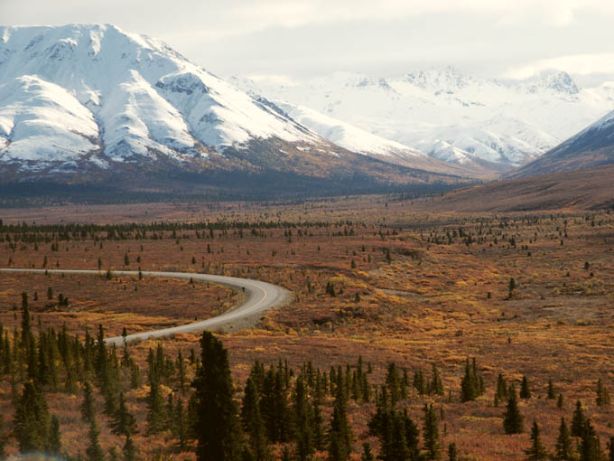 Denali Park