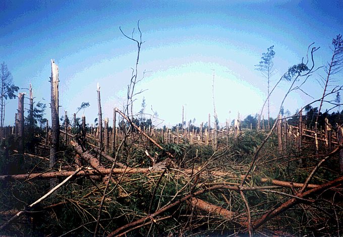 tunguska na Podlasiu