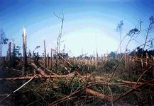 tunguska na Podlasiu