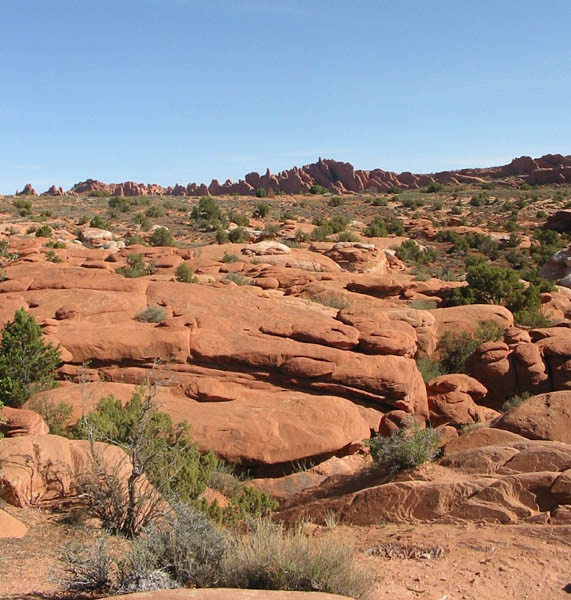 Stone Desert