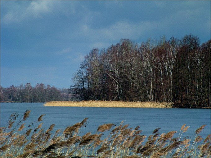 Widok na wyspę