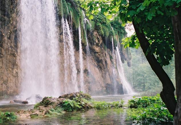 Plitvice - spojrzenie spod drzew