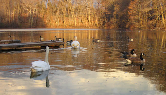 popołudniowe refleksje 2