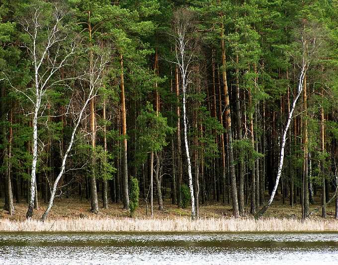 Nad Niemką 2