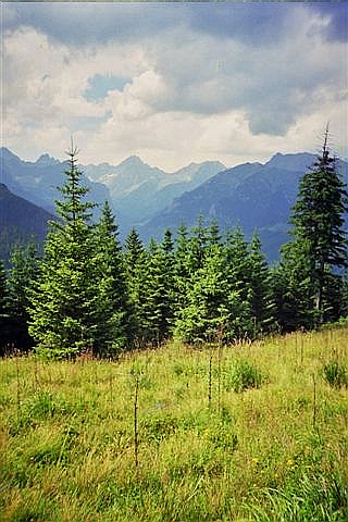 Tatry z Rusinowej Polany