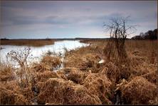 Narew wylała