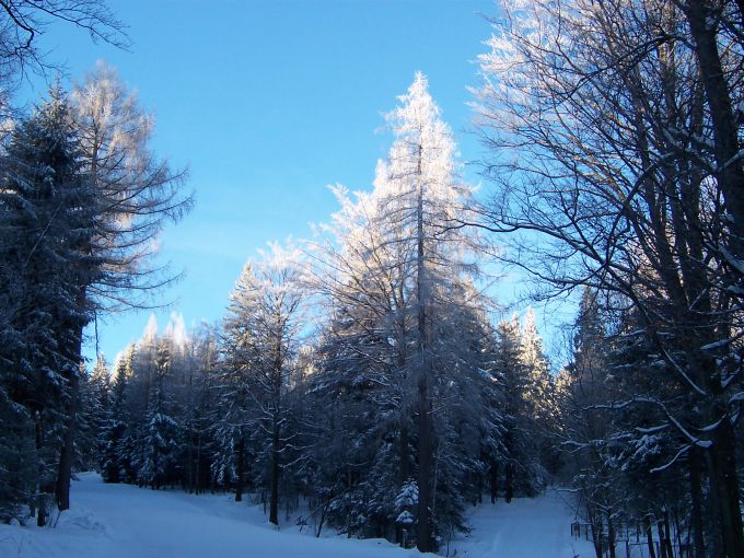 Lola o świcie (srebro)