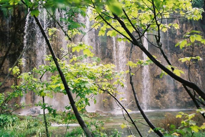 Plitvice - spojrzenie zza drzew