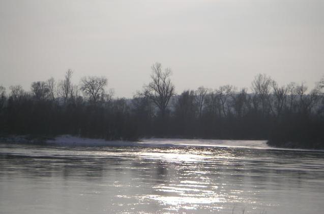 Popołudnie nad Wisłą