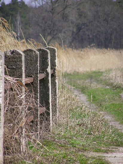 Wyspa dowolnych kierunków