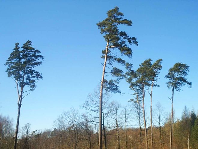 Paaaanie, a w siedemdziesiątym szóstym to tak wiało...