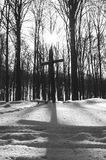 Landschaft mit dem Kreuz in Wald