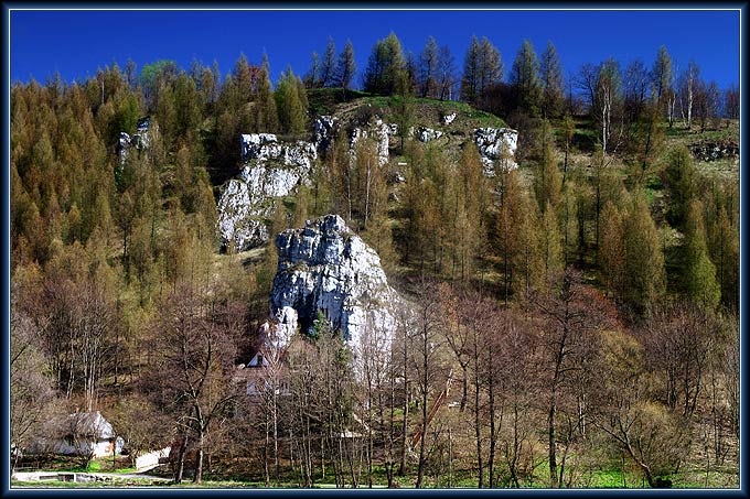 Czuć wiosnę...