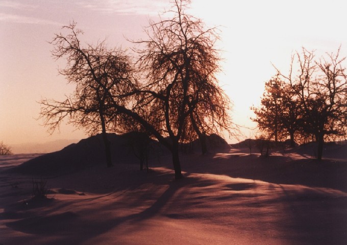 Winterlandschaft am Abend