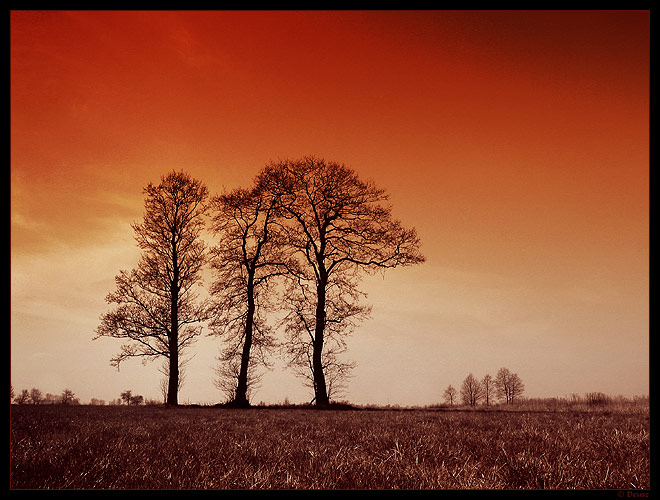 podpaliłem niebo