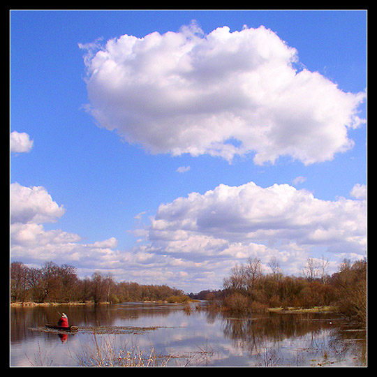 NAREW