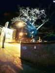 Tomek Goławski nosegrind witos by night