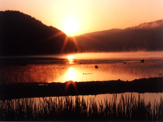 Den Sonnenaufgang am See