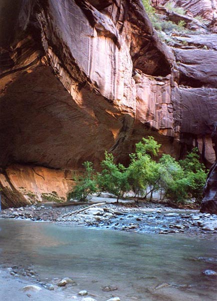 Canyon Narrows