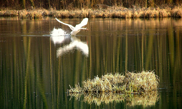 clear to take off