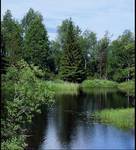 Sweden, dzika natura w Halsingland