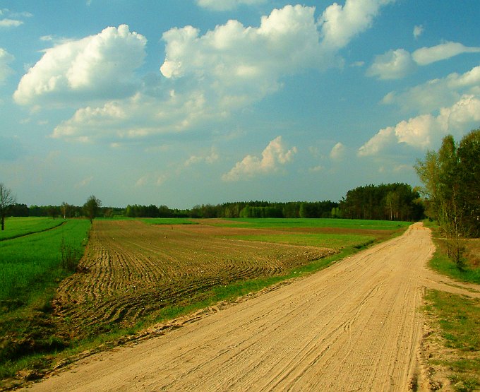 Pejzaż podlaski