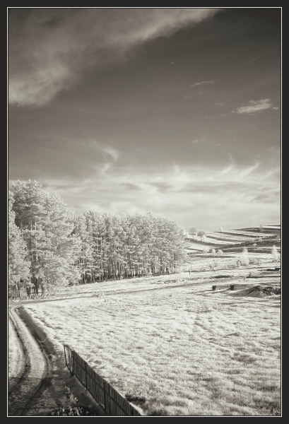 (IR) Roztoczański Park Narodowy #1