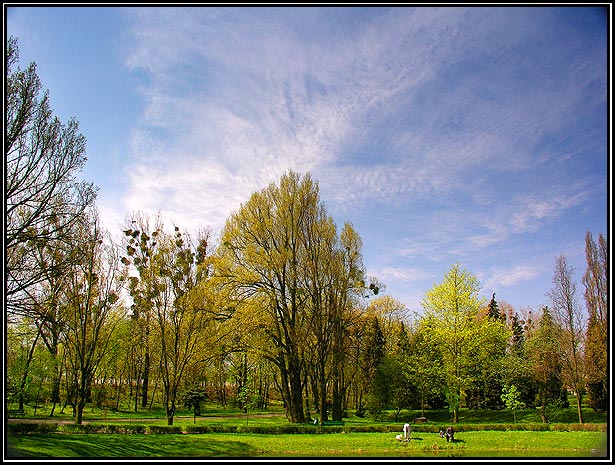 Września - park