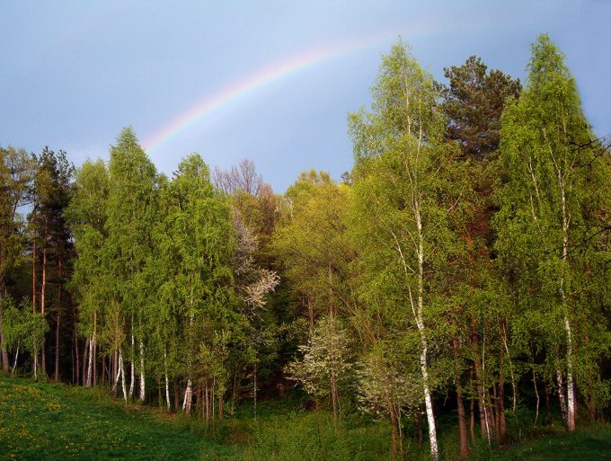 majowa tęcza