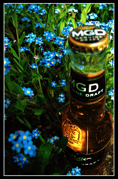 miller na dzialkach